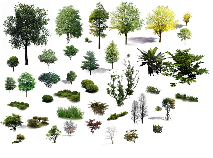 <> 多棵景观植物设计psd素材,包含有乔木,灌木丛,效果图分层