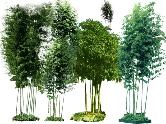 5款景观柱竹子植物素材psd格式[原创]