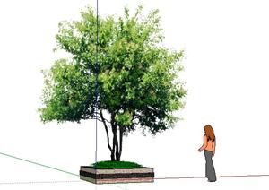 简易方形景观树池设计SketchUp(SU(草图大师))3D模型