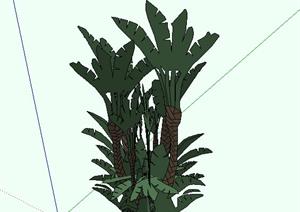 东南亚风格椰子树植物SketchUp(SU(草图大师))3D模型