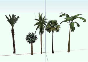东南亚5种热带植物景观小品SketchUp(SU(草图大师))3D模型