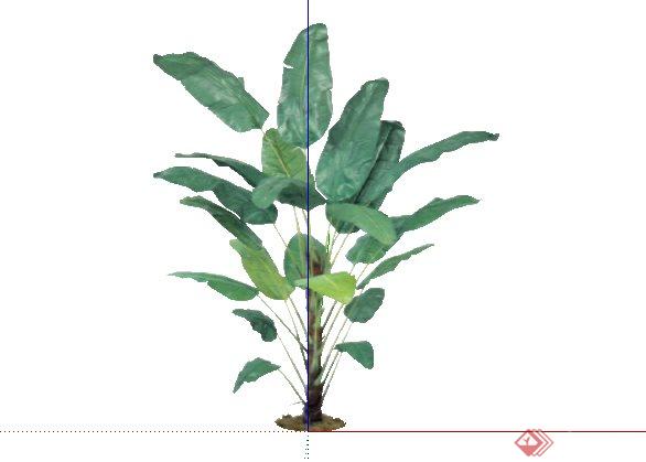 2D灌木花卉55SketchUp(SU)模型