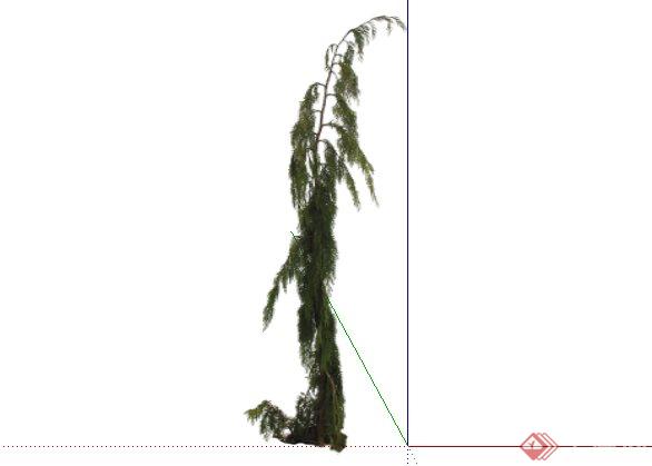 2D灌木花卉57SketchUp(SU)模型