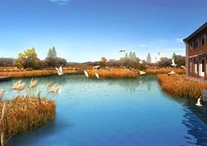 某湿地公园芦苇荡水景园林景观设计效果图psd格式