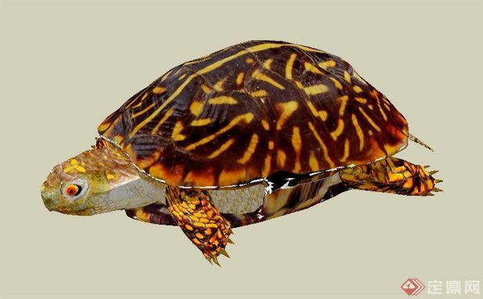 海龟景观小品SketchUp(SU)3D模型