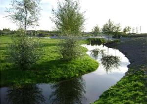 某湿地景观原生态水景照片