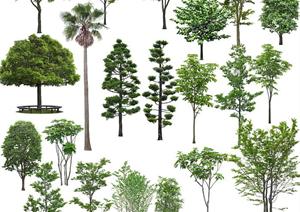 大型园林景观乔木植物PSD综合素材