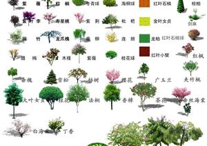 花卉灌木植物PSD效果图素材