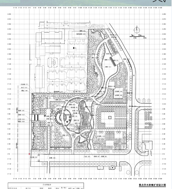 公园绿地规划设计方案乔木种植扩初图(4)