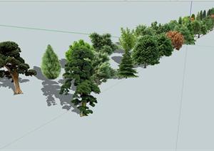 园林植物SU(草图大师)模型素材大全（含效果图）