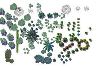 园林景观效果图平面植物PSD分层素材