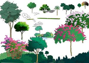 园林景观配景手绘立面植物设计素材01（psd格式）