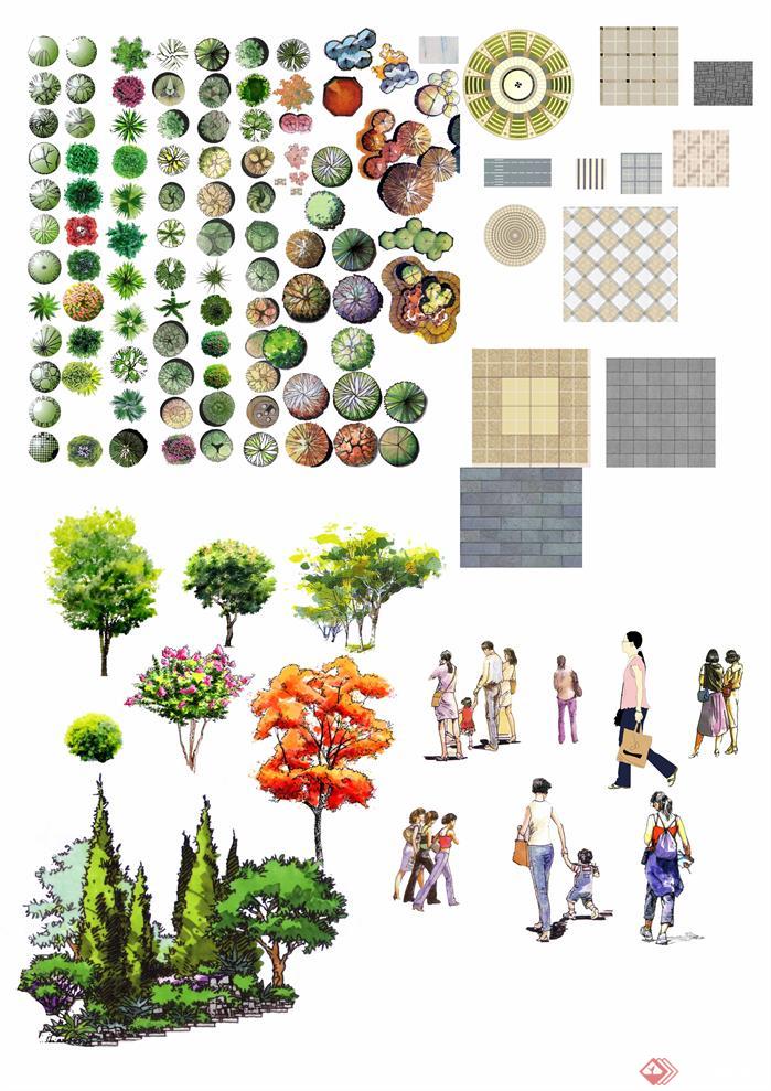 手绘园林植物平面效果图PSD分层素材4