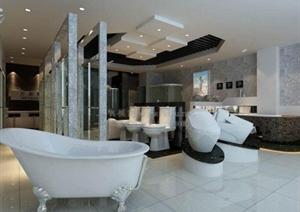 某现代卫浴专卖店设计方案3DMAX模型