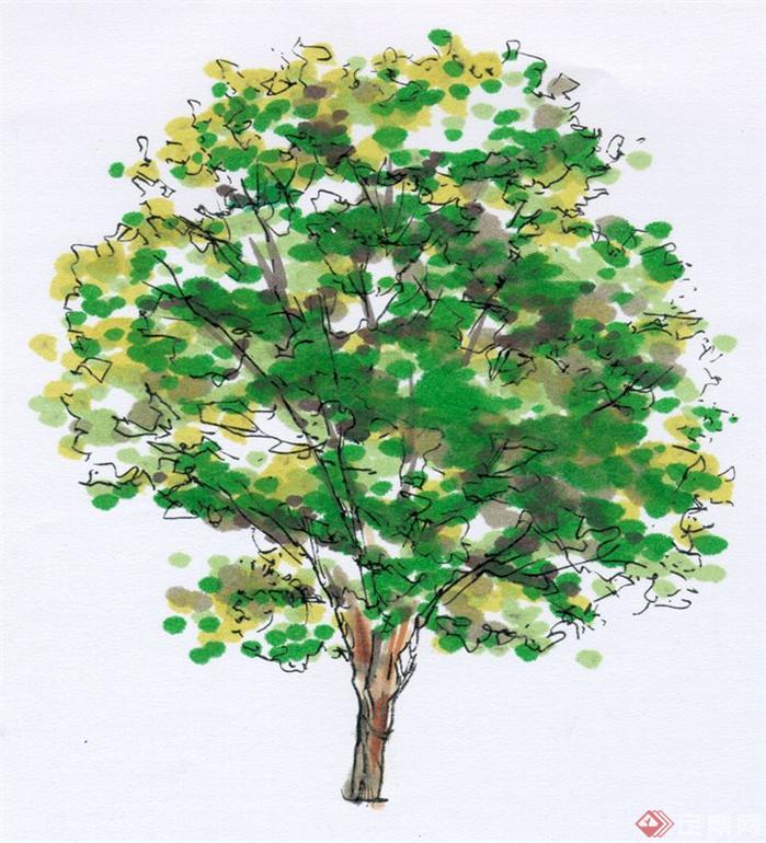 数十个园林树木手绘TIF素材