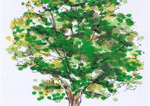 数十个园林树木手绘TIF素材