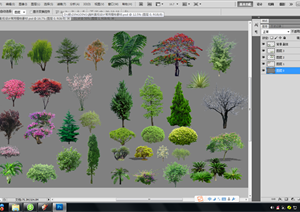 设计素材之景观植物立面图（ PSD格式）