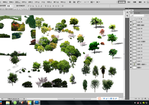 某园林植物景观植物效果图PSD素材