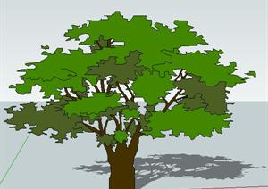 一棵大树的园林景观植物设计SU(草图大师)模型
