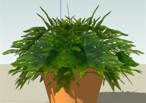一棵盆栽植物设计的SU(草图大师)模型