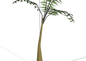 一棵棕榈树景观植物设计的SU(草图大师)模型