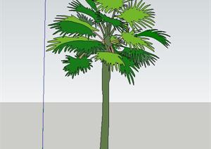 某现代风格热带植物棕榈SU(草图大师)模型素材