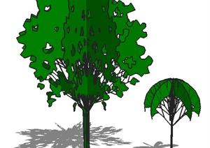 大小两棵平树景观植物设计的SU(草图大师)模型