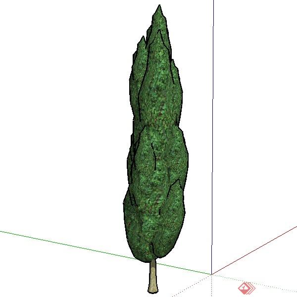 一棵塞浦路斯树的景观植物设计SU模型