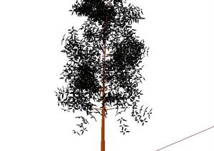 一株2D绿化景观树木SU(草图大师)模型素材