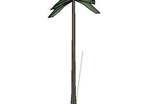 一个棕榈树SU(草图大师)设计模型素材