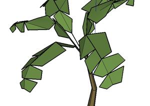 一棵棕榈树的景观植物设计SU(草图大师)模型