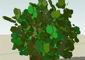 一棵灌木的景观植物设计SU(草图大师)模型