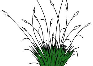 一个景观花草植物SU(草图大师)模型素材（2）