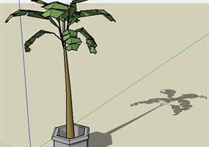 一棵棕榈树的景观植物设计SU(草图大师)模型1