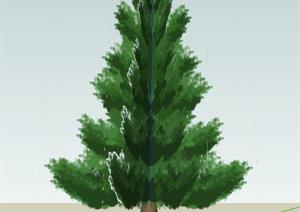 一株园林景观树SU(草图大师)模型素材（4）
