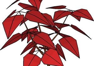 一棵红叶铁苋的景观植物设计SU(草图大师)模型