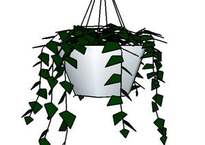 一棵挂篮常春藤的景观植物设计SU(草图大师)模型