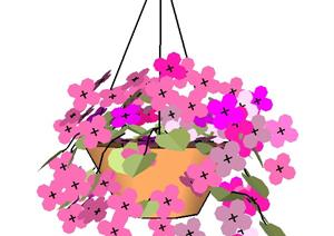 一个凤仙花盆栽植物SU(草图大师)模型素材