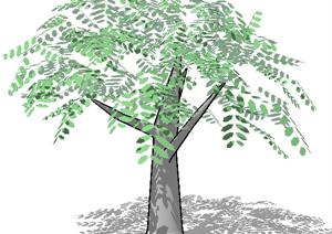 一个橄榄树SU(草图大师)模型素材