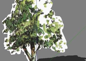 某现代风格园林植物奥列弗手绘树SU(草图大师)模型素材