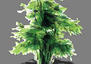 某现代风格园林植物奥列弗手绘树SU(草图大师)模型素材2
