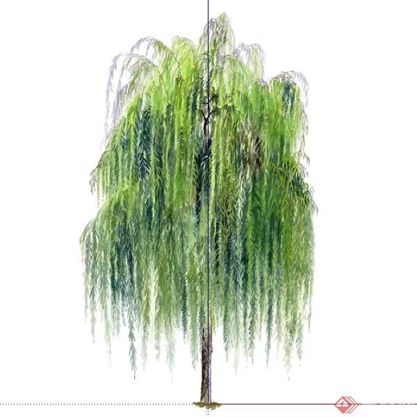 一株2D景观垂柳树木SU模型素材
