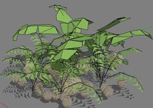 设计素材之景观植物灌木设计素材SU(草图大师)模型6