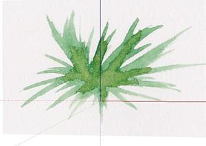 一棵灌木的园林景观植物设计SU(草图大师)模型