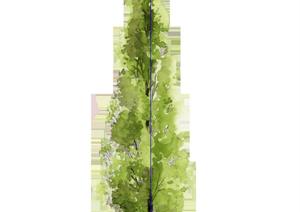 设计素材之景观植物2D乔木设计素材SU(草图大师)模型19