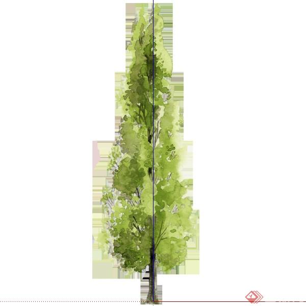 设计素材之景观植物乔木设计素材su模型19