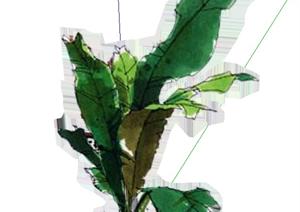 一棵2D绿霸王的景观植物SU(草图大师)模型