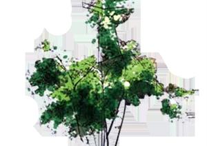 一棵景观植物设计SU(草图大师)模型7