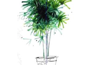 设计素材之景观植物盆栽树设计素材SU(草图大师)模型