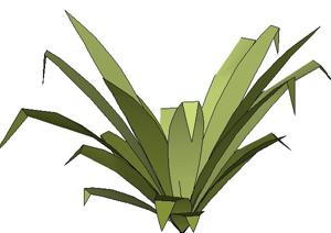 设计素材之景观植物草本植物设计素材SU(草图大师)模型2